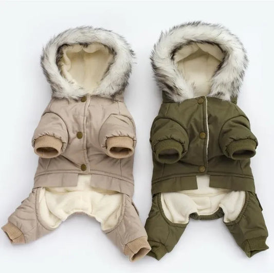 Ropa cálida para mascotas de invierno