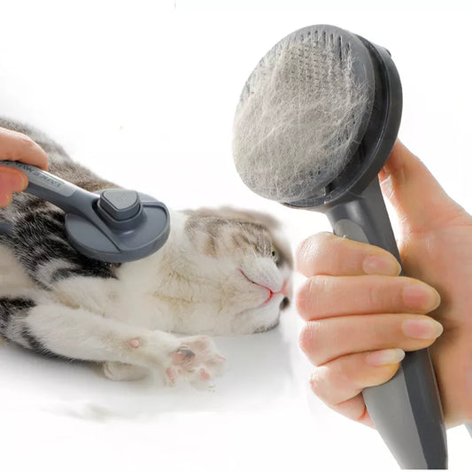Pet Brush Massage Tool