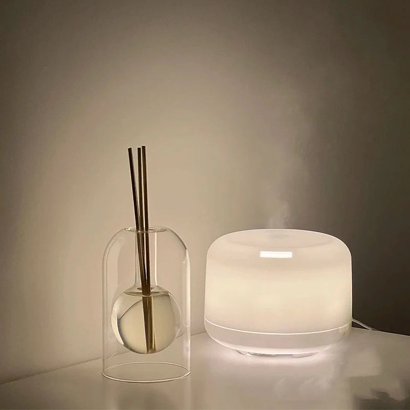 Nordic Double Layer Glass Diffuser Vase