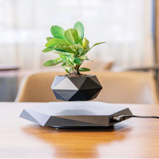 Levitating Air Planter Pot