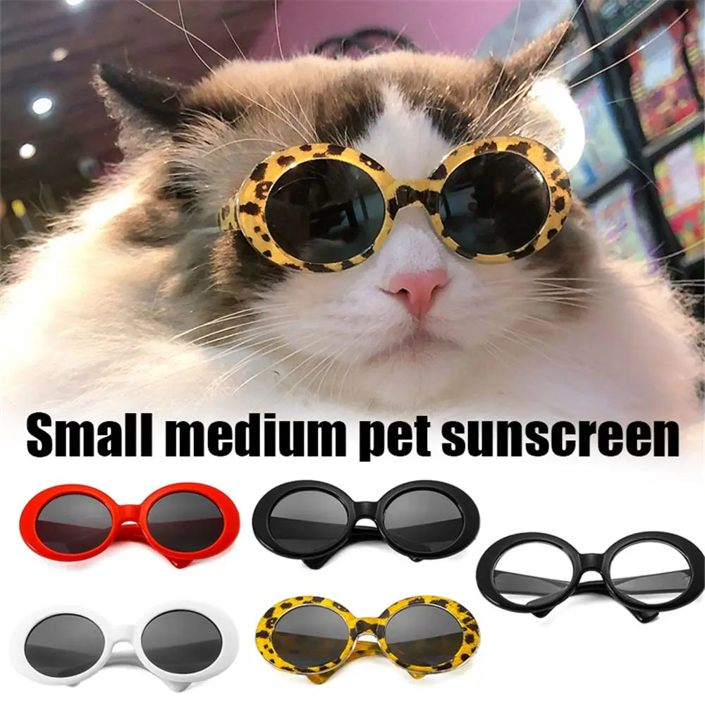 Funny Pet Accessories