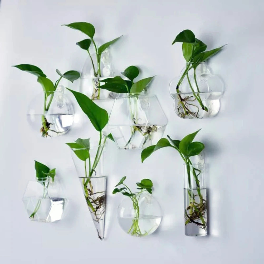 Hanging Glass Flower Vase Terrarium