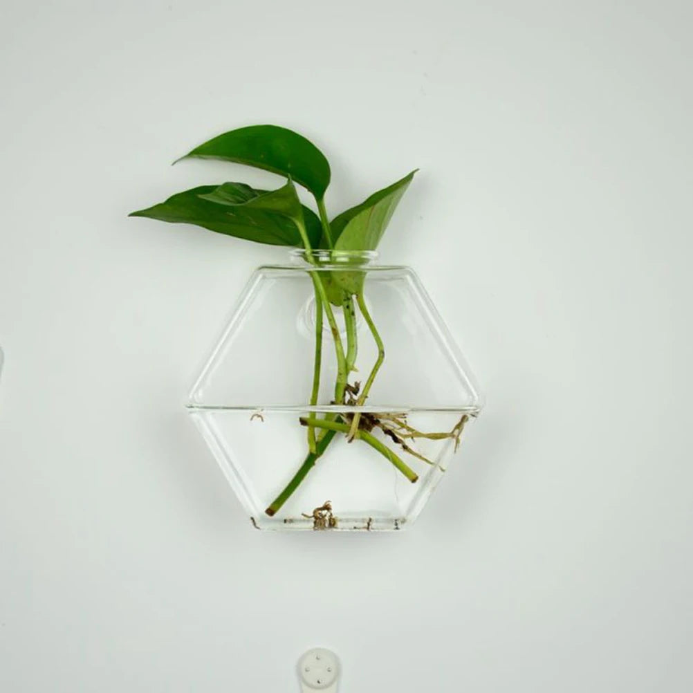 Hanging Glass Flower Vase Terrarium